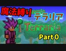 【テラリア】魔法縛りでテラリア！！Part0準備編　【ゆっくり実況】