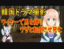 韓国のドラマ撮影で、馬の脚にワイヤーを結んで落馬シーンを撮影した結果、馬が死亡していた事が判明【世界の〇〇にゅーす】
