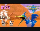 頼れるのは過去の俺！？　自分ナビゲーションポケモン part25　【ポケモンソード】