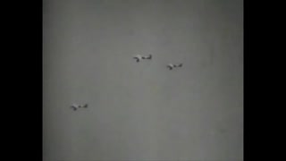コンドル軍団分列行進曲 Parademarsch der Legion Condor ドイツ週間ニュース 1941年
