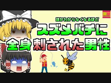 【1997年】誰か判別できないほど蜂に刺され亡くなった男性…その原因は...【ゆっくり解説】