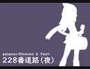 【ポケモン　ダイヤモンド・パール】228番道路（夜）　アレンジ