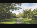 【BGM】walking everyday / towa