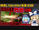 【閲覧注意】検索してはいけない言葉を怖がりが調べてみる！Part20【ゆっくり実況】【ゆっくり解説】