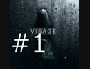 Visage part1