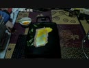 【ずいえき】2022/01/19　ハム２枚焼く