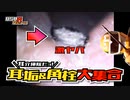 【耳介掃除だヨ！】耳垢&角栓大集合 Real Ear Cleaning Sound SONY ECM-PC60/no talking【本物耳かきASMR/イヤースコープ】