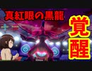 【ポケモン剣盾】ご注文は理想を司る黒き龍ですか？【ゼクロム】