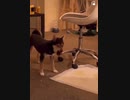これが珍味なんだよぉ！