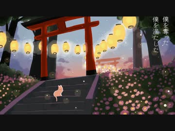 猫の眼と嘘 - 猫のおなか
