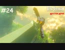 100年眠って体力が落ちたので剣が抜けない【ゼルダの伝説 ブレスオブザワイルド マスターモード】#24