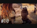 【ゆっくり実況】Horizon Zero Dawn その10