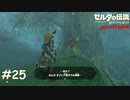 コログしれん【ゼルダの伝説 ブレスオブザワイルド マスターモード】#25
