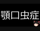 【ゆっくり朗読】ゆっくりさんと不思議な病気 その473