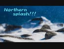 【東方アレンジ】Northern splash！！！【おてんば恋娘】