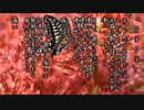 0303 ／ 重音テト(Remaster)
