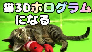 【DIY】3Dホログラムのシステムを作って猫を小さくしてどこでも楽しめる装置をを作ってみた