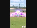 ウマ娘 プリティーダービー　チャンピオンズミーティング　サジタリウス杯