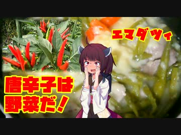 きりたんの農家的クッキングPart3「唐辛子は野菜だ！エマダツィ」