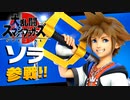 【ソラ参戦】キングダムハーツフェスティバル リターンズ【大乱闘スマッシュブラザーズSPECIAL】