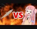 茜ちゃんVSワカサギ