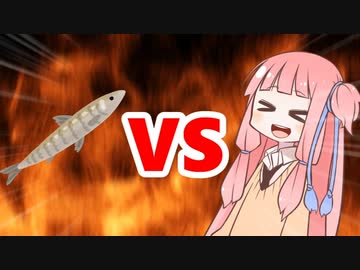 茜ちゃんVSワカサギ