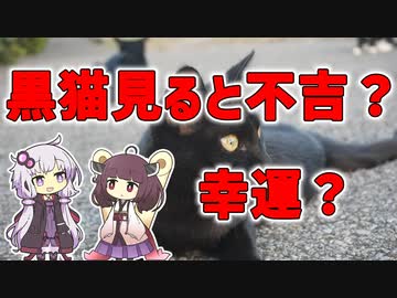 【雑学】黒猫を見ると不吉？幸運？【VOICEROID解説】