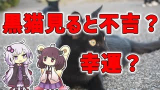 【雑学】黒猫を見ると不吉？幸運？【VOICEROID解説】