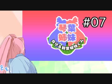 【Superflight】琴葉姉妹を見守る観葉植物くん07【琴葉姉妹実況】
