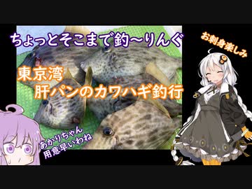 東京湾の冬の風物詩 カワハギ釣り に挑戦 肝パンパンの旬の魚を 透明感ある薄造りと肝醤油でいただいてみた