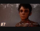 【実況】絶望の淵で生き延びる-part7-【A Plague Tale: Innocence】