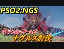 【PSO2:NGS】　マグナス山のドールズ　ナグルス討伐　＃１０