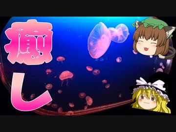マリホ水族館へ行きました～！【ゆっくり】