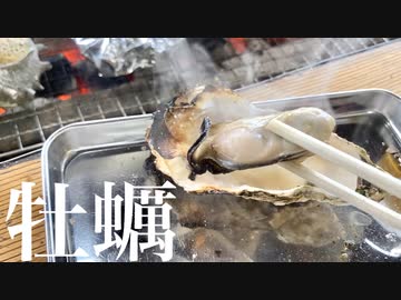 牡蠣と蟹を炭火で焼いてビールを飲む動画