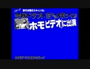TDNの見出しBB