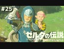 英傑、家を買う【ゼルダの伝説 ブレス オブ ザ ワイルド㉕】