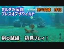 【ゼルダの伝説BotW】初見で剣の試練に挑戦したら…