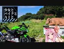 【VOICEROID車載】少女とバイクとＡＩとvol.2