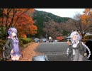 【自転車車載】あかりちゃんをサイクリングに連れ出しました 8回目