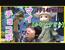 【初見FF14】新しい仲間が増えて浮かれてたらおつかいばかりさせられた　実況part8