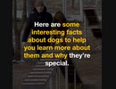 Amazing Facts About Dogs That Will Blow Your Mind