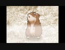 【実況】ハム好きによるスタアライク【Part7-12】