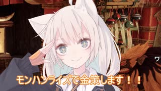 【MHRise】金策あかりちゃん
