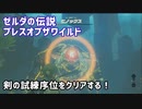 【ゼルダの伝説BotW】剣の試練序位をクリアする！