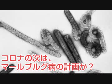 コロナの次はマールブルグ病の計画か？