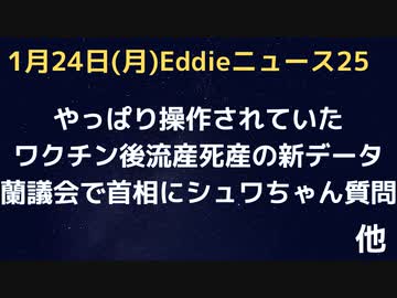 出産を控えた女性は絶対ワク駄目！隠しデータが明らかに！　蘭首相、議会でクラウス・シュワちゃんとの関係問われタジタジ　メタバースがイベントで大失敗