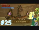 【ゼルダの伝説スカイウォードソード】VSモルドガット！その装甲を破壊してやるぜ！【Part25】