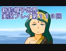 みんなの帽子を手に入れよう【新約・帽子世界】実況プレイ第１１３回
