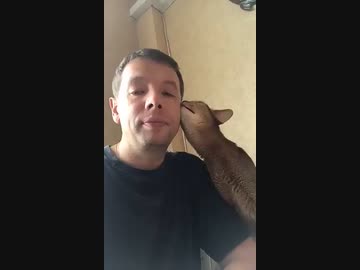 ホモと見る　猫界の峰不二子