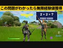 【小技集】2＋2がわかったら無限に経験値がもらえますｗシーズン１強バグ小技裏技集！【FORTNITE/フォートナイト】